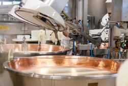 Özel Gıda İşleme Makineleri